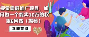 搜索霸屏推广项目，如何做一个能卖10万的权重6网站（揭秘）-吗喽副业资源站