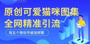 黑科技纯原创可爱猫咪图片，全网精准引流，实操5个VX号被加频繁-吗喽副业资源站