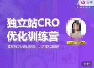 独立站CRO优化训练营,掌握独立站设计秘籍,打造高转化的独立站,让店铺ROI翻倍-吗喽副业资源站