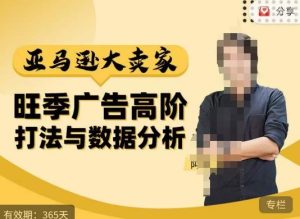 阿甘·亚马逊大卖家广告高阶打法与数据分析,走出传统广告误区;揭秘大卖惯用打法;数据驱动广告决策-吗喽副业资源站