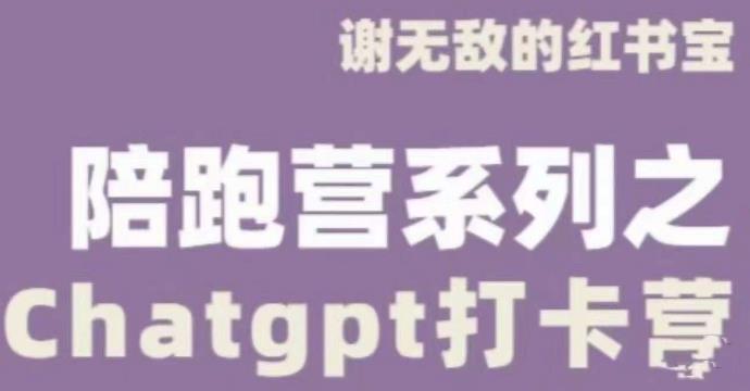 谢无敌ChatGPT打卡营，教你更好地使用ChatGPT来提高工作效率-吗喽副业资源站