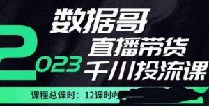 数据哥2023直播电商巨量千川付费投流实操课,快速掌握直播带货运营投放策略-吗喽副业资源站