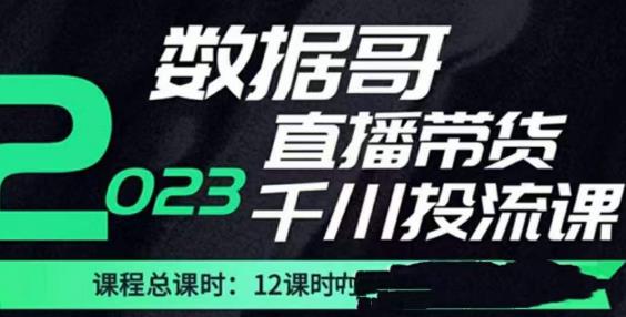 数据哥2023直播电商巨量千川付费投流实操课，快速掌握直播带货运营投放策略-吗喽副业资源站