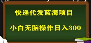 2023最新蓝海快递代发项目，小白零成本照抄也能日入300+-吗喽副业资源站