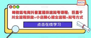 峰教练电商抖音直播投流起号课程：巨量千川全流程投放+小店随心推全流程+起号方式-吗喽副业资源站