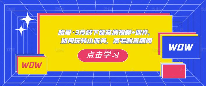 哈哥·3月线下实操课高清视频+课件，如何玩转小而美，高毛利直播间-吗喽副业资源站
