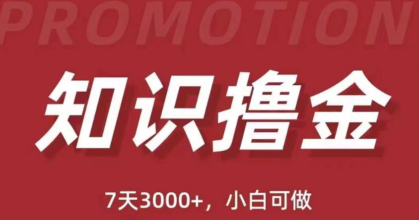 抖音知识撸金项目：简单粗暴日入1000+执行力强当天见收益(教程+资料)-吗喽副业资源站