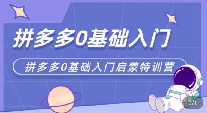 拼多多运营0-1实操特训营，拼多多0基础入门，从基础到进阶的可实操玩法-吗喽副业资源站