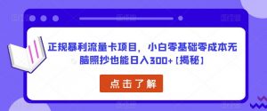 正规暴利流量卡项目，小白零基础零成本无脑照抄也能日入300+【揭秘】-吗喽副业资源站