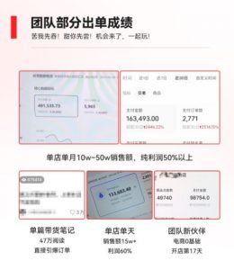 2023小红书电商火爆全网，新晋红利，风口项目，单店收益在3000-30000！-吗喽副业资源站