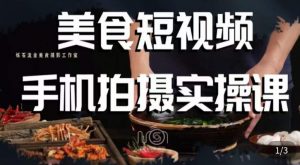 烁石·美食视频手机拍摄实操课,美食摄影理论、手机拍摄相关设置、剪辑调色、布光原理等内容-吗喽副业资源站