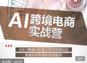 白龙老师·AI跨境电商实战营：从0-1精通Al的真正有效电商玩法，卖家如何利用Al快速超车-吗喽副业资源站