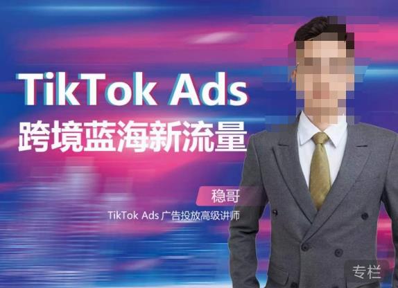稳哥·如何投出高ROI的TikTok广告，开拓独立站卖家流量新蓝海-吗喽副业资源站