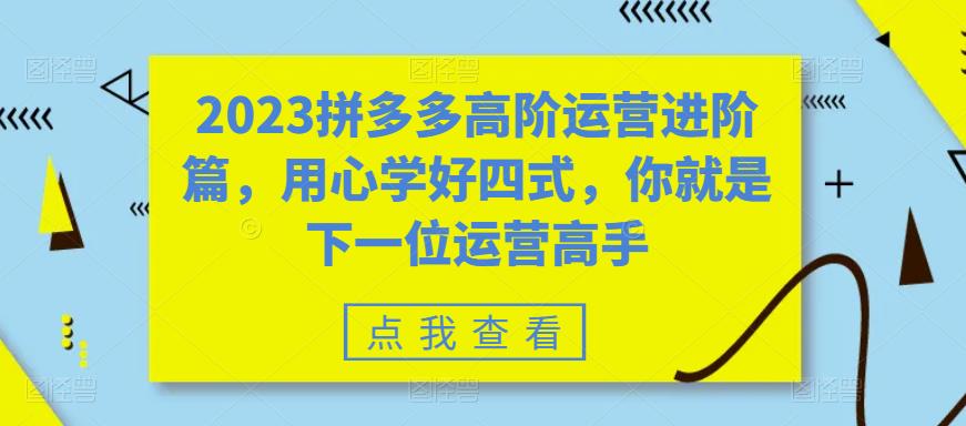 2023拼多多高阶运营进阶篇，用心学好四式，你就是下一位运营高手-吗喽副业资源站