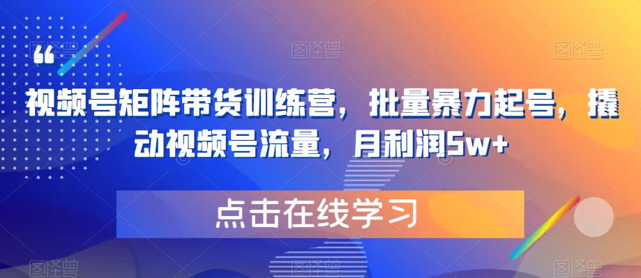 视频号矩阵带货训练营，批量暴力起号，撬动视频号流量，月利润5w+-吗喽副业资源站