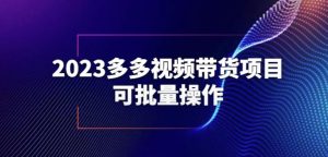 2023多多视频带货项目，可批量操作【保姆级教学】【揭秘】-吗喽副业资源站