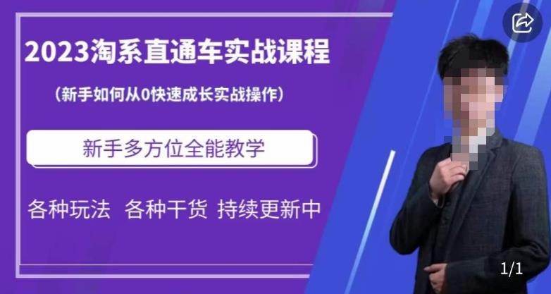 2023淘系直通车保姆式运营讲解，新手如何从0快速成长实战操作，新手多方位全能教学-吗喽副业资源站