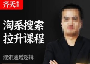 齐天电商·淘系搜索提升课程，​搜索递增标准化，动销标准化流程-吗喽副业资源站