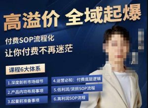 逸风-拼多多高溢价全域起爆，6大课程体系，付费玩法全套实操-吗喽副业资源站