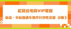 松鼠会电商VIP教程：松鼠《付费推广标品·半标直通车操作针对性答疑&诊断》-吗喽副业资源站