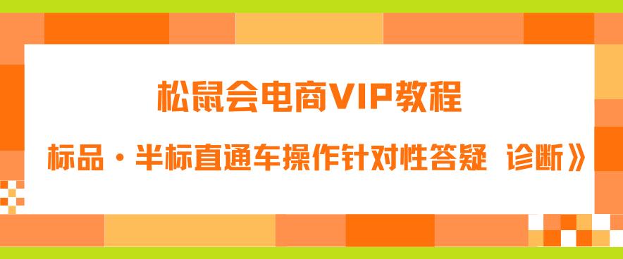 松鼠会电商VIP教程：松鼠《付费推广标品·半标直通车操作针对性答疑&诊断》-吗喽副业资源站