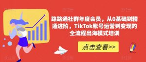 路路通社群年度会员，从0基础到精通进阶，TikTok账号运营到变现的全流程出海模式培训-吗喽副业资源站