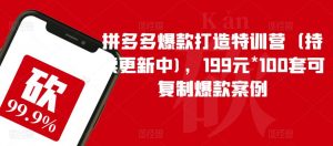 拼多多爆款打造特训营（持续更新中)，199元*100套可复制爆款案例-吗喽副业资源站
