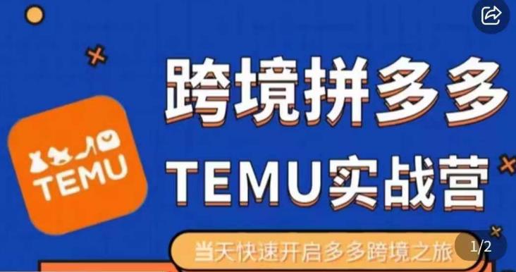 大鹏出海·拼多多跨境temu运营指导，开店注册+选品+核价上架，日出千单实战课-吗喽副业资源站