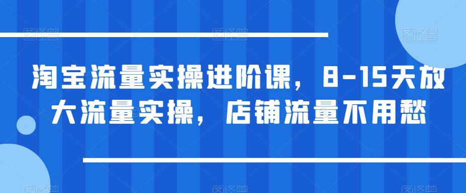 淘宝流量实操进阶课，8-15天放大流量实操，店铺流量不用愁-吗喽副业资源站