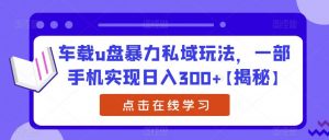 车载u盘暴力私域玩法，一部手机实现日入300+【揭秘】-吗喽副业资源站