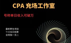 cpa充场工作室，号称单日收入10000+（揭秘）-吗喽副业资源站