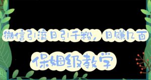 微信互推圈半自动引流方案,矩阵操作日引千人思路【详细视频教程】-吗喽副业资源站
