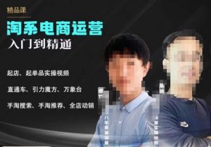 2023手淘搜索实操课+体系化课程，​起店起单品实操视频课程-吗喽副业资源站
