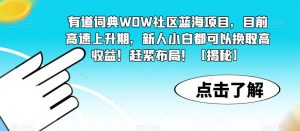 有道词典WOW社区蓝海项目，目前高速上升期，新人小白都可以换取高收益！赶紧布局！【揭秘】-吗喽副业资源站