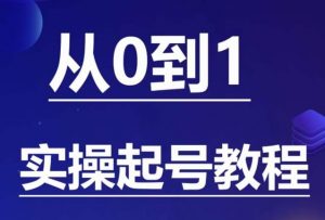 石野·小白起号实操教程，​掌握各种起号的玩法技术，了解流量的核心-吗喽副业资源站