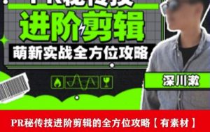 PR进阶剪辑培训班，让你快速成为剪辑大师12节视频课程+素材！-吗喽副业资源站