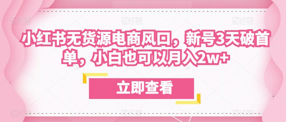 众狼电商余文小红书无货源电商风口，新号3天破首单，小白也可以月入2w+-吗喽副业资源站