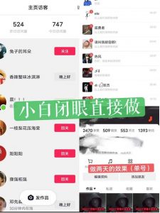 一天做完别一辈子的视频制作最近很火的《1000个野路子信息差》100%过原创【揭秘】-吗喽副业资源站