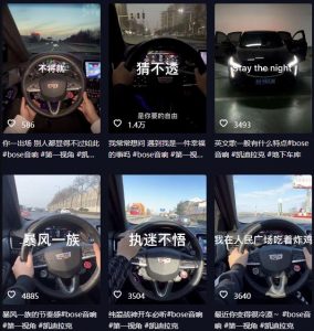 抖音开车视频项目，0基础操作，每天五分钟，月入1W+【揭秘】-吗喽副业资源站