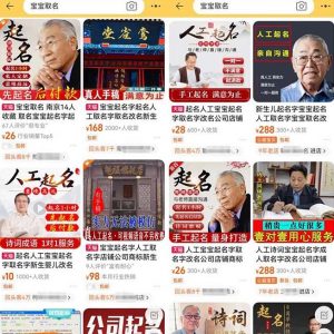 拆解小红书宝宝起名虚拟副业项目，一条龙实操玩法分享给你（教程+软件）-吗喽副业资源站