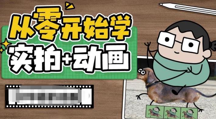 从零开始学实拍加动画，实拍加动画创意教程-吗喽副业资源站