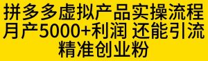 拼多多虚拟产品实操流程，月产5000+利润，还能引流精准创业粉【揭秘】-吗喽副业资源站