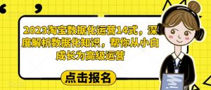 2023淘宝数据化运营14式,深度解析数据化知识,帮你从小白成长为高级运营-吗喽副业资源站