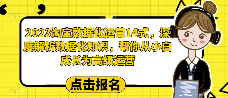 2023淘宝数据化运营14式，深度解析数据化知识，帮你从小白成长为高级运营-吗喽副业资源站