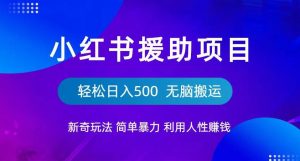 小红书援助项目新奇玩法，简单暴力，无脑搬运轻松日入500【揭秘】-吗喽副业资源站