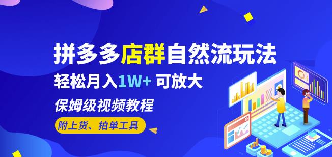拼多多店群自然流玩法，轻松月入1W+保姆级视频教程（附上货、拍单工具）-吗喽副业资源站