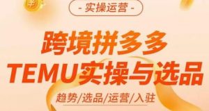 伍跃·跨境拼多多TEMU实操与选品，​趋势/选品/运营/入住（27节完整）-吗喽副业资源站