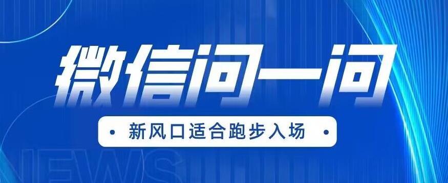 全网首发微信问一问新风口变现项目（价值1999元）【揭秘】-吗喽副业资源站