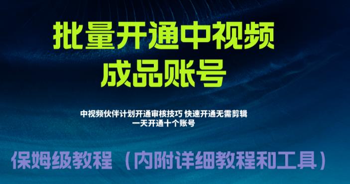 外面收费1980的暴力开通中视频计划教程，内附详细的快速通过中视频伙伴计划的办法-吗喽副业资源站