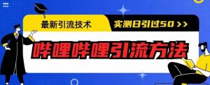 最新引流技术，哔哩哔哩引流方法，实测日引50人【揭秘】-吗喽副业资源站